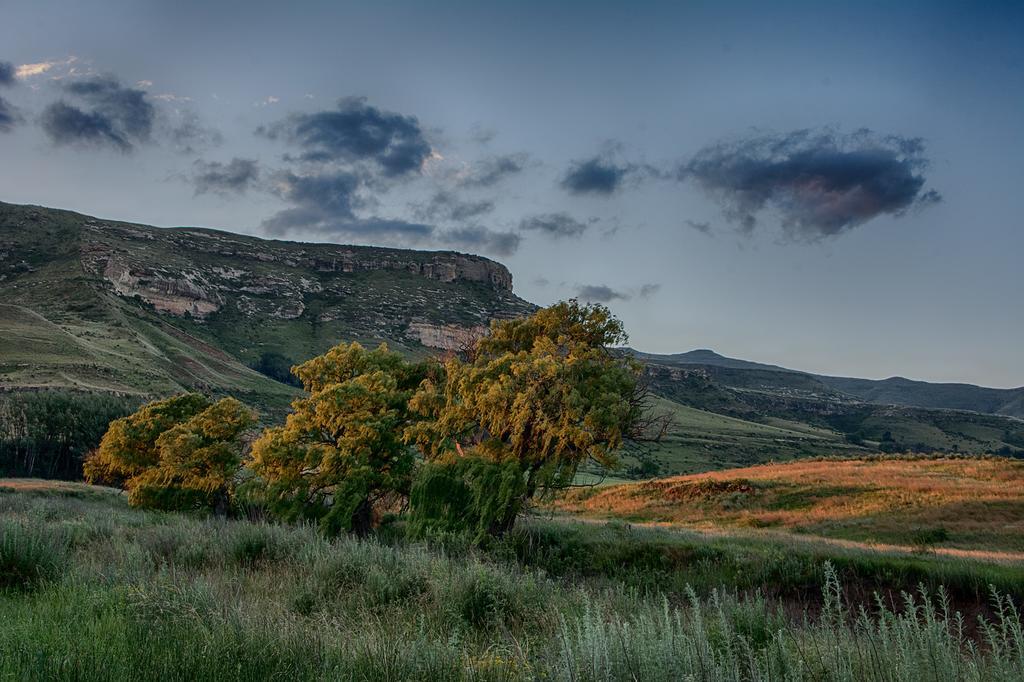 De Molen Farm Villa Clarens Exterior photo